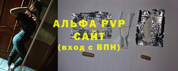 сатива Беломорск