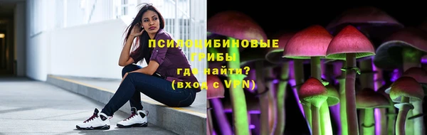 сатива Беломорск