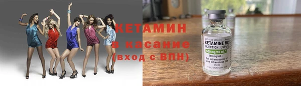 сатива Беломорск