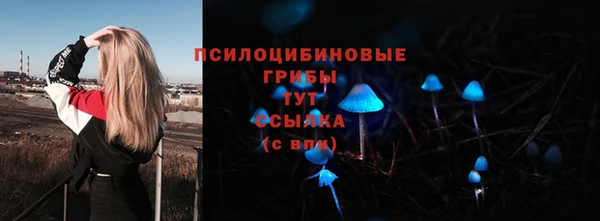 сатива Белоозёрский