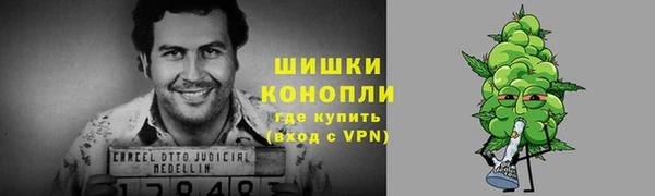 PSILOCYBIN Белокуриха