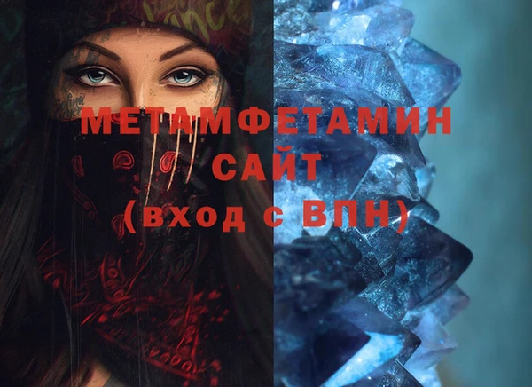 сатива Беломорск
