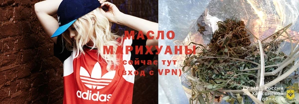 сатива Беломорск