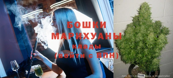 сатива Беломорск