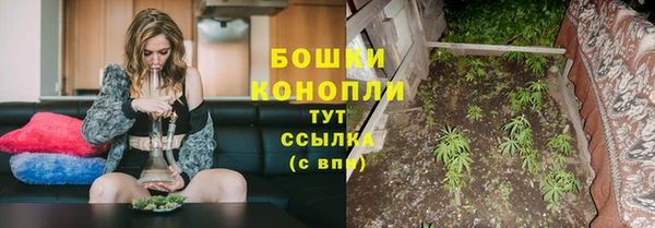 сатива Белоозёрский