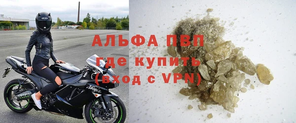PSILOCYBIN Белокуриха