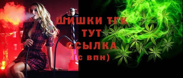 PSILOCYBIN Белокуриха