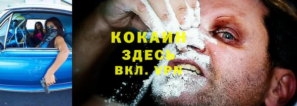 PSILOCYBIN Белокуриха
