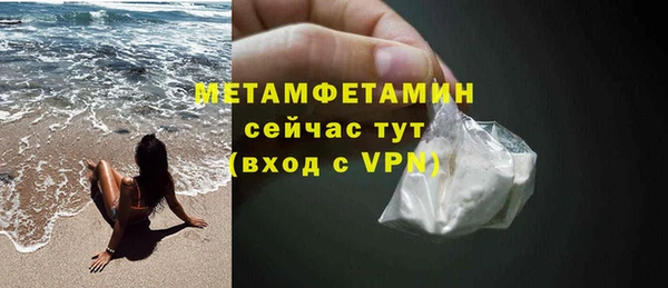 сатива Беломорск