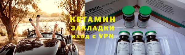 сатива Беломорск