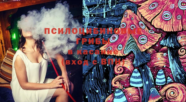 сатива Белоозёрский