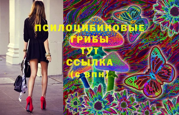 сатива Беломорск