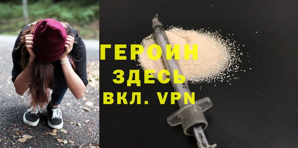 сатива Беломорск