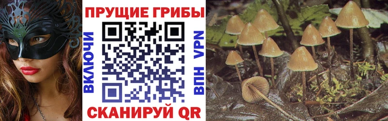 как найти закладки Верхний Уфалей Псилоцибиновые грибы мицелий