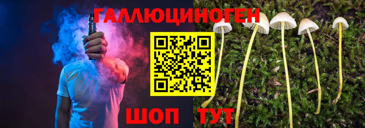 Псилоцибиновые грибы мухоморы Верхний Уфалей