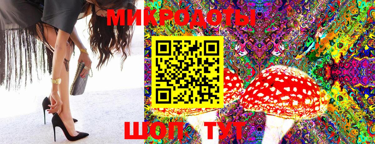 Галлюциногенные грибы MAGIC MUSHROOMS  купить наркотики цена  Верхний Уфалей  Вход с VPN 